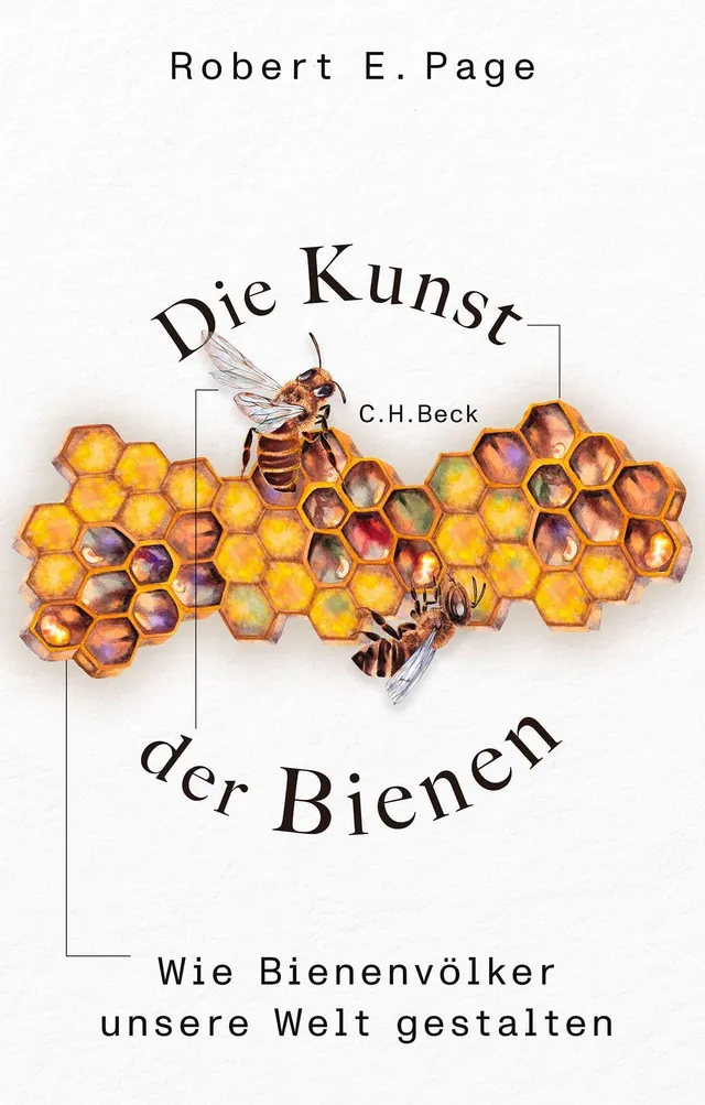 c-h-beck-die-kunst-der-bienen-buch-bienenv-lker-natur image 1