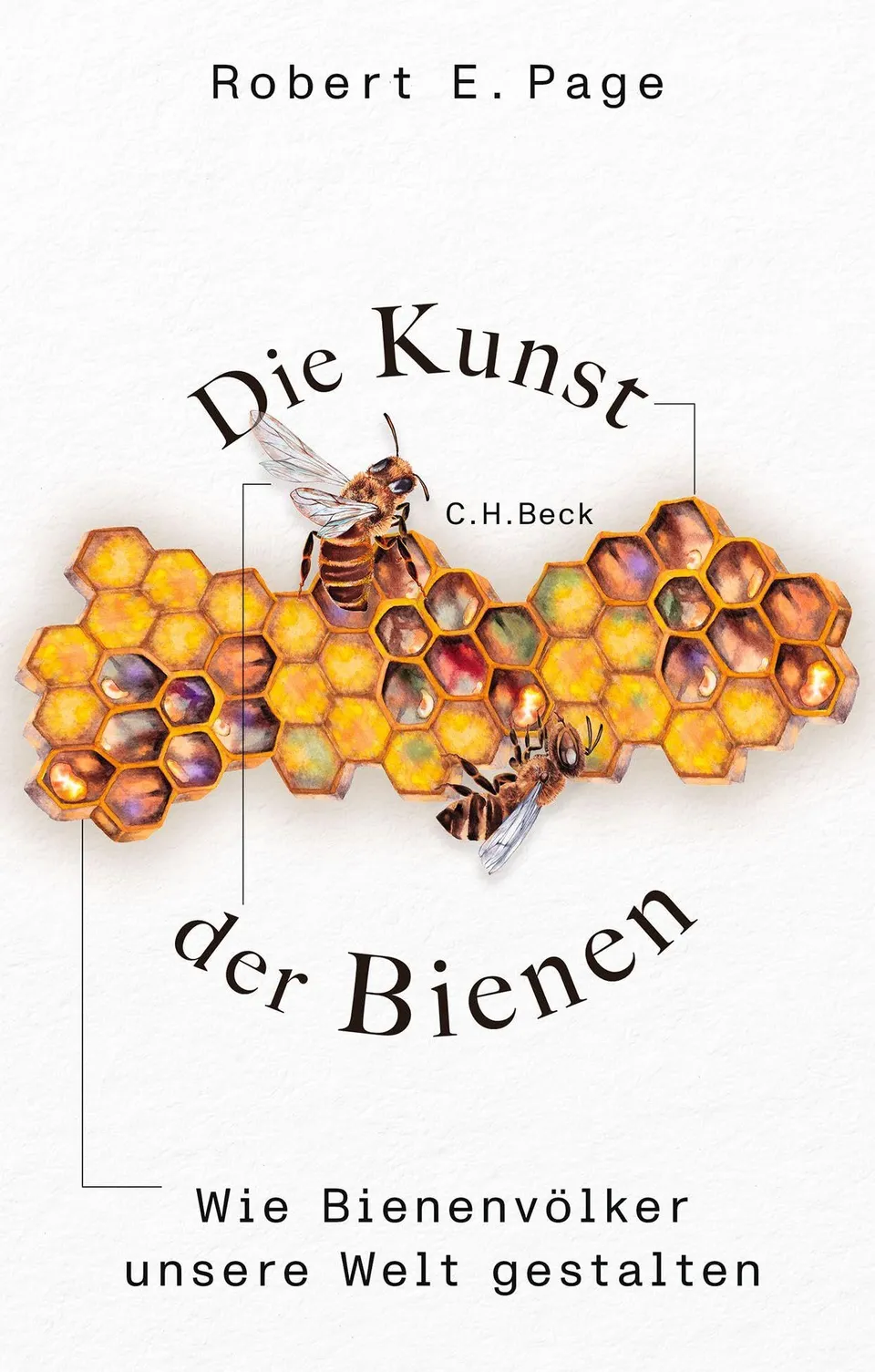 c-h-beck-die-kunst-der-bienen-buch-bienenv-lker-natur image 1