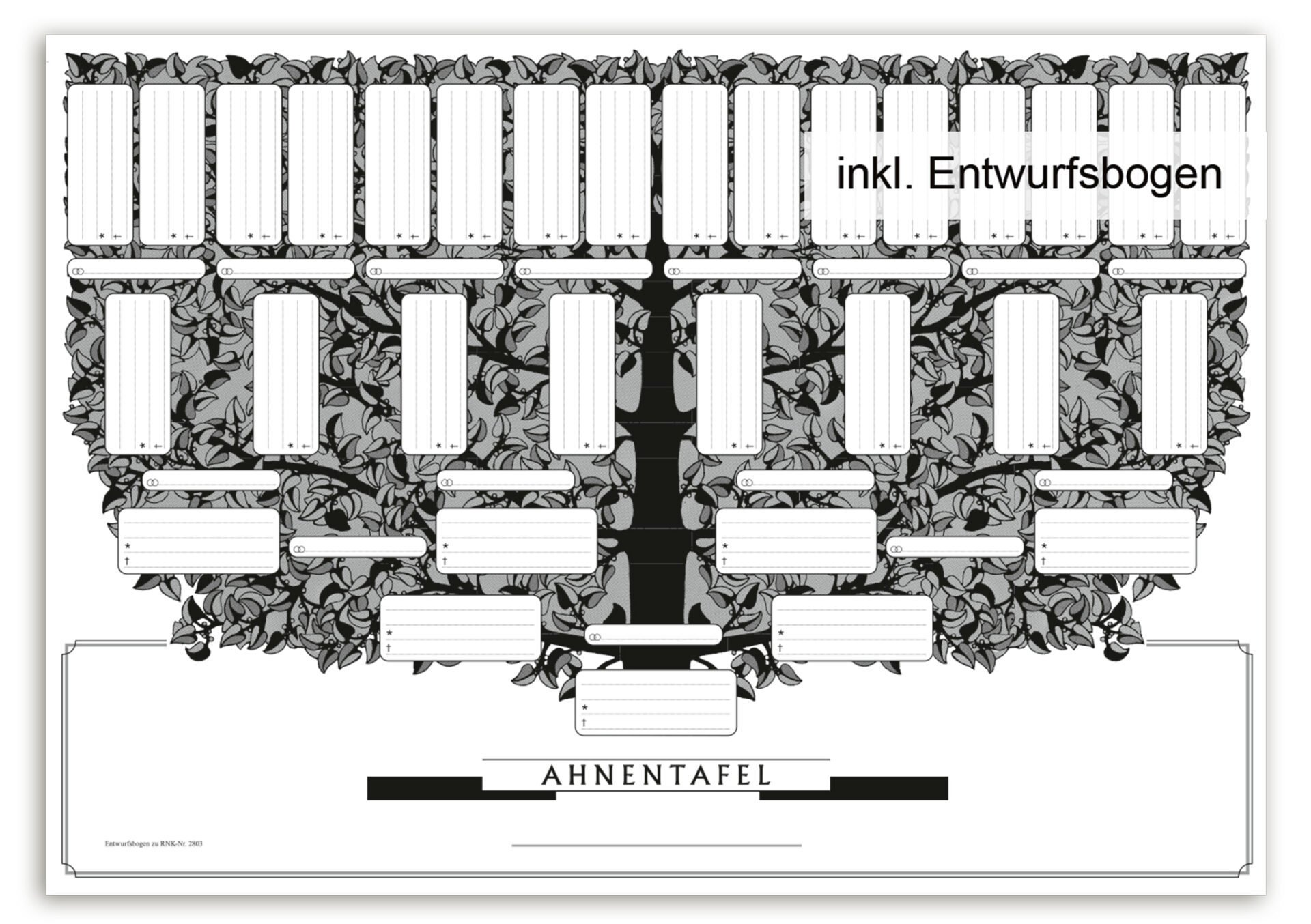 rnk-ahnentafel-kleiner-baum-5-generationen-din-a3-1-st-ck image 2