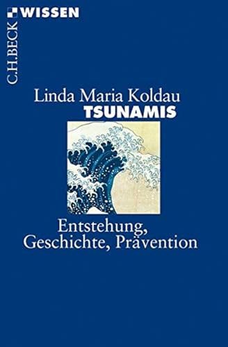 c-h-beck-wissen-tsunamis-buch-entstehung-pr-vention image 2