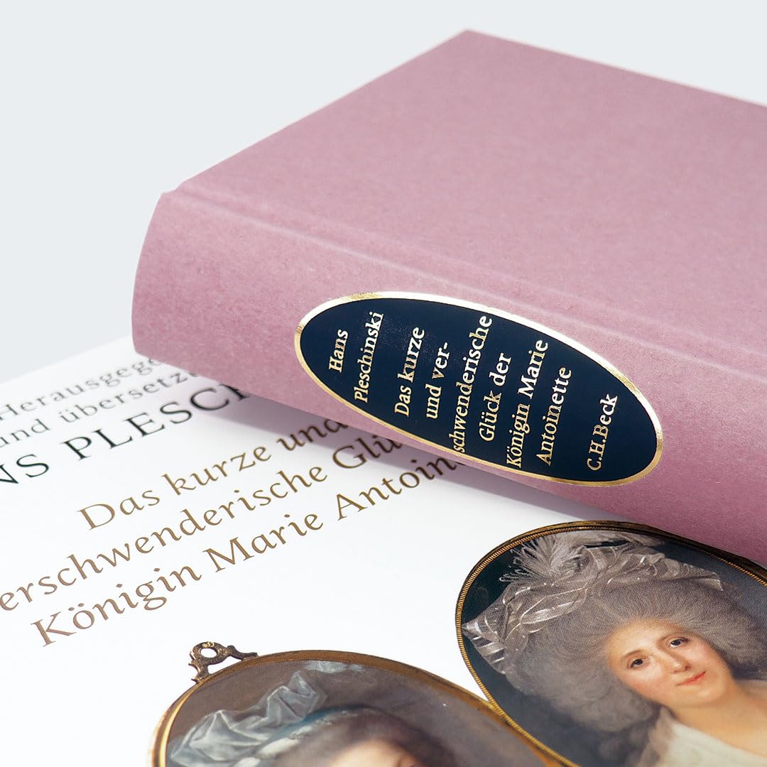 c-h-beck-paperback-marie-antoinette-campan-erinnerungen-buch image 3