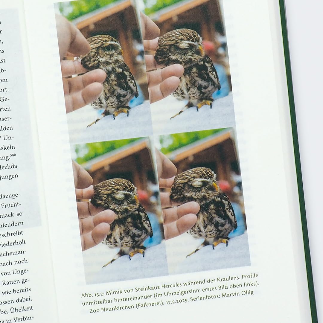 c-h-beck-paperback-elefant-kopfkissen-buch-tiere-intelligenz image 7