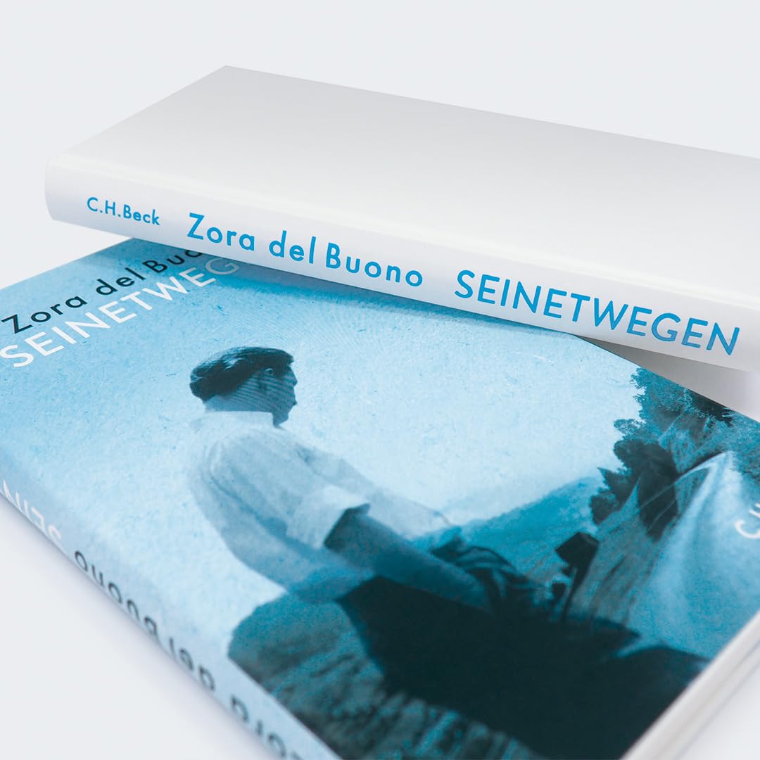 c-h-beck-seinetwegen-roman-taschenbuch-gegenwartsliteratur image 3