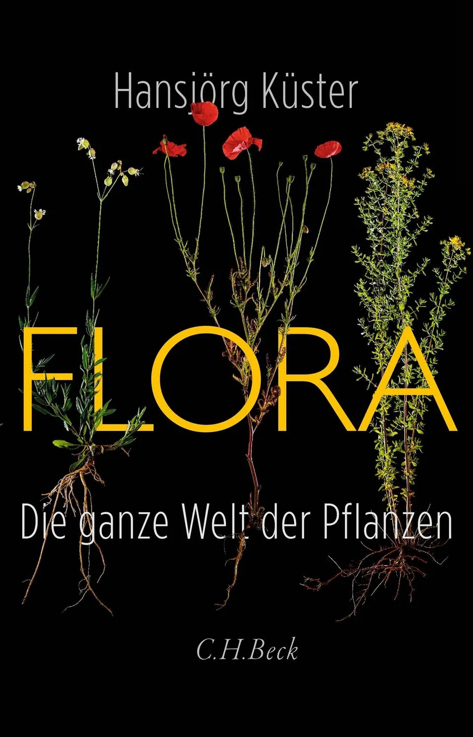 c-h-beck-paperback-flora-die-ganze-welt-der-pflanzen-buch image 1
