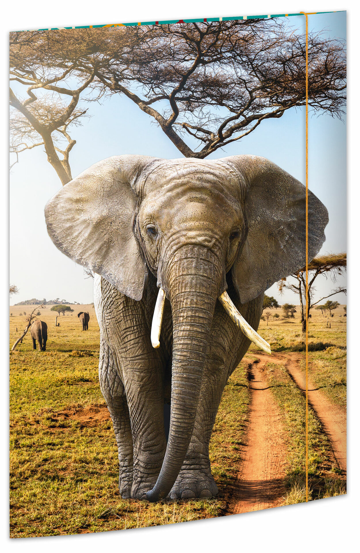 rnk-elefant-zeichenmappe-din-a3-karton-mit-gummizug image 1