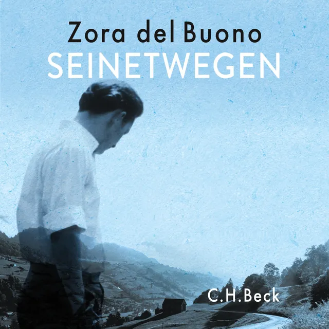 c-h-beck-seinetwegen-ebook-roman-kindle-ausgabe-literatur image 1