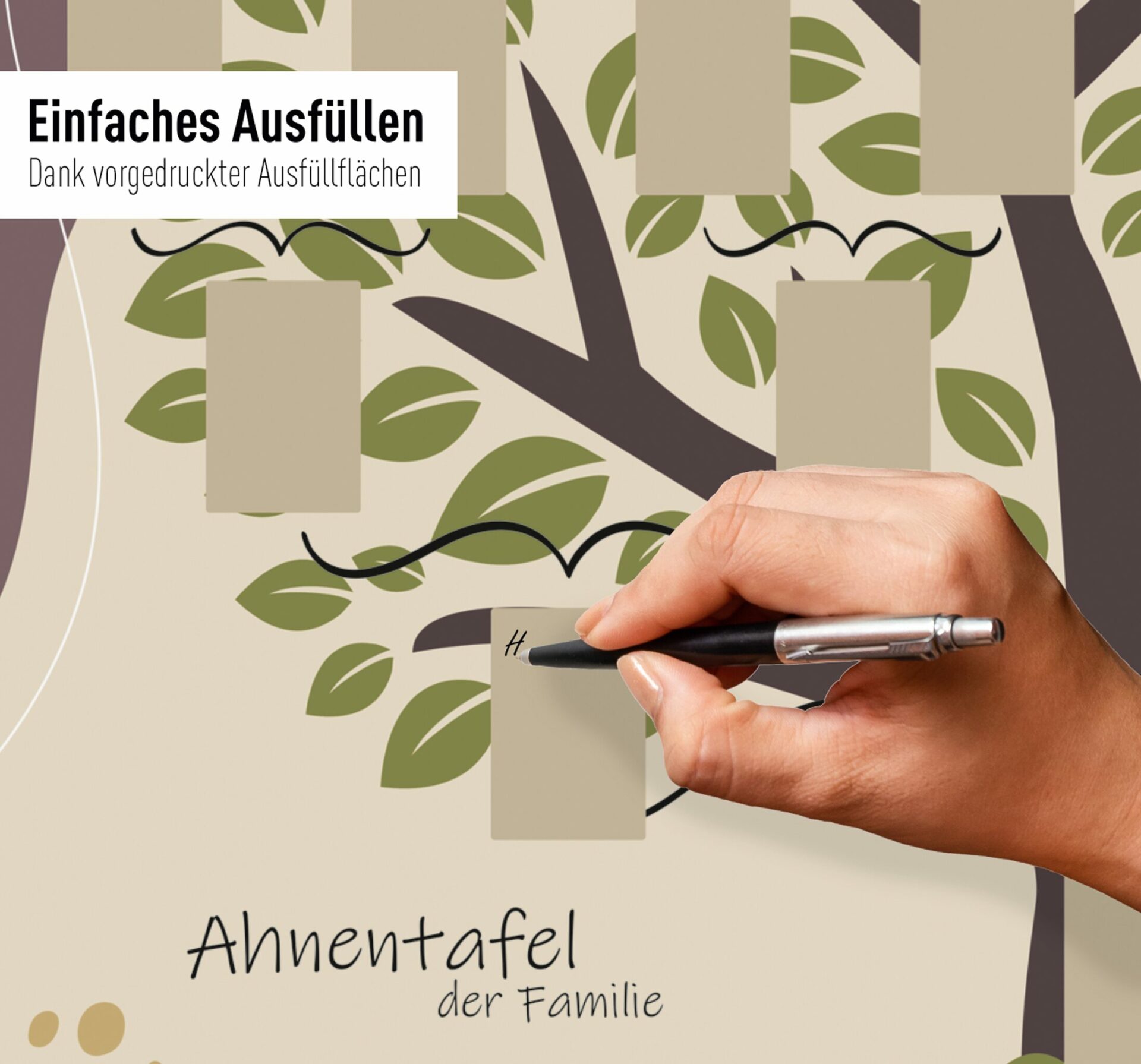 rnk-ahnentafel-illustrierter-baum-5-generationen-din-a2 image 3
