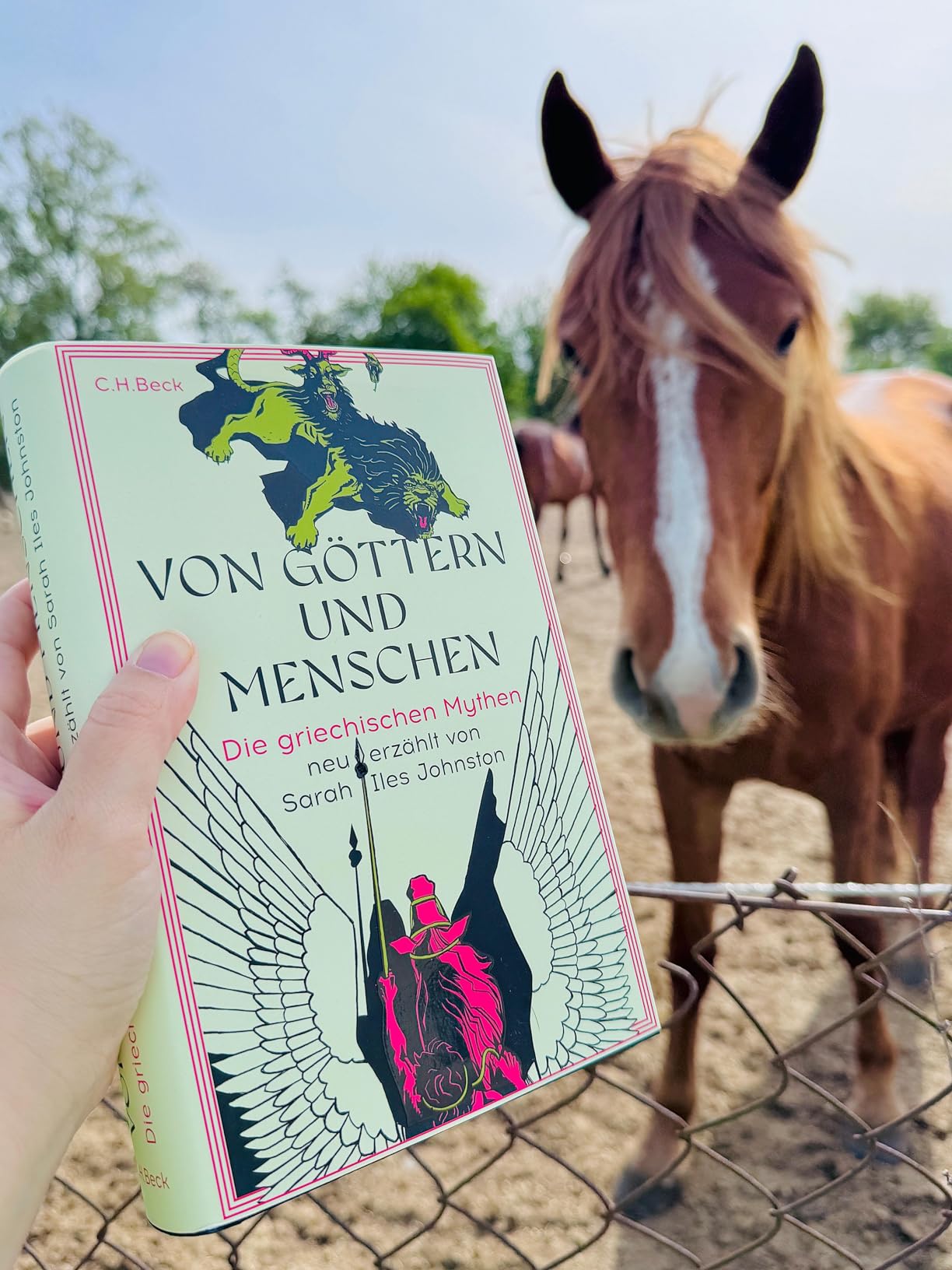 Wunderschönes Buch