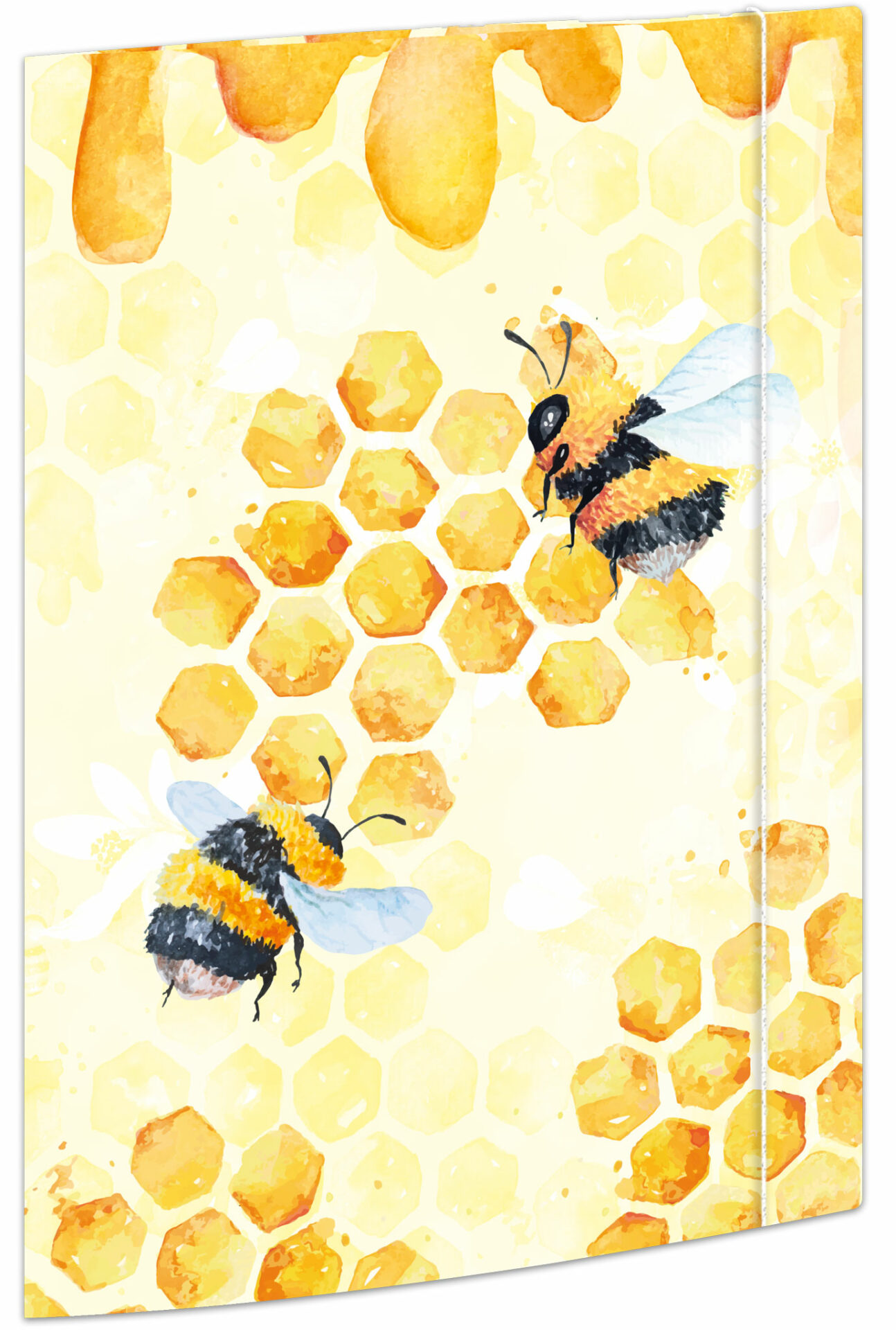 rnk-honey-sammelmappe-a4-karton-gummizug-1-st-ck image 1