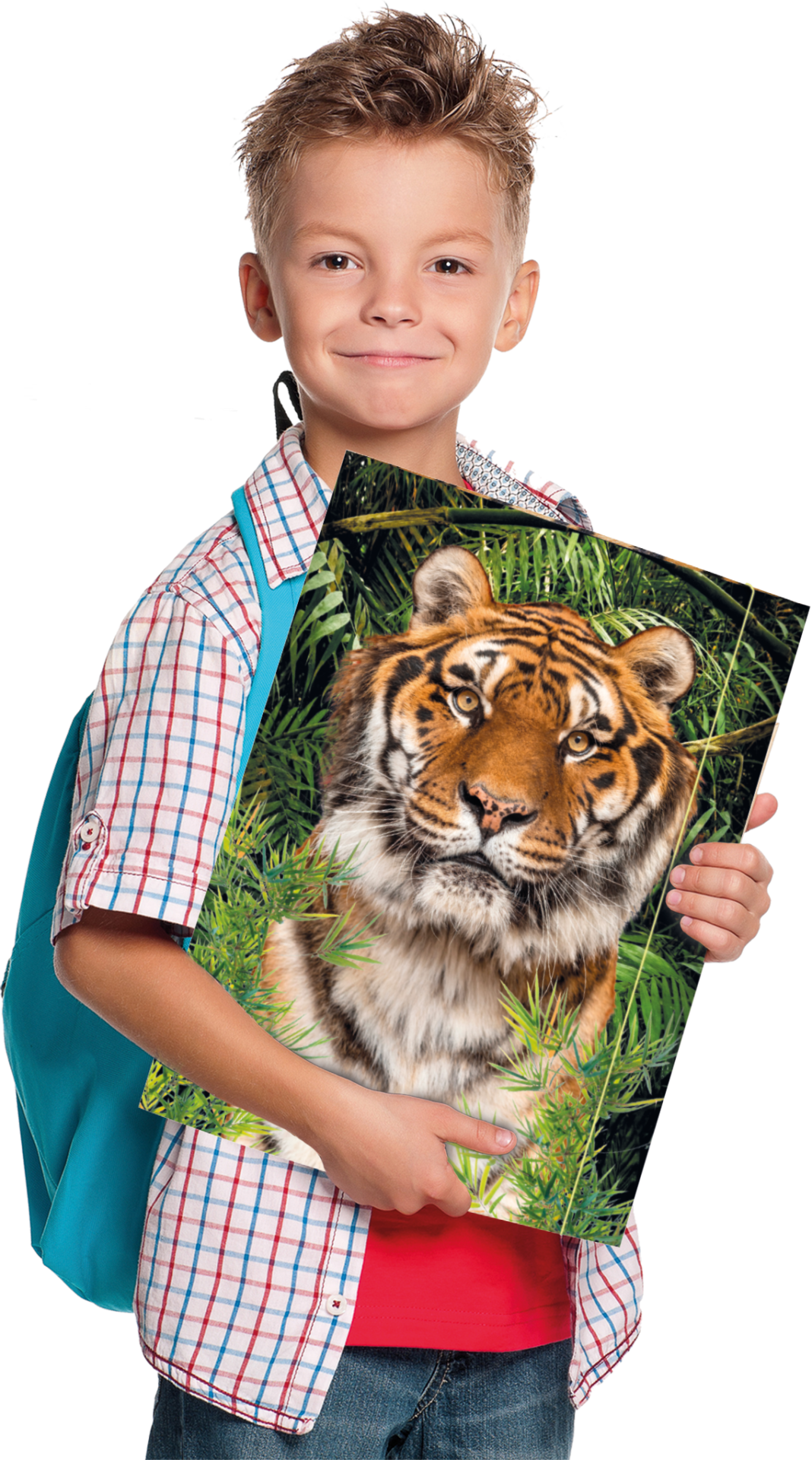 rnk-zeichenmappe-tiger-din-a3-karton-gummizug image 3
