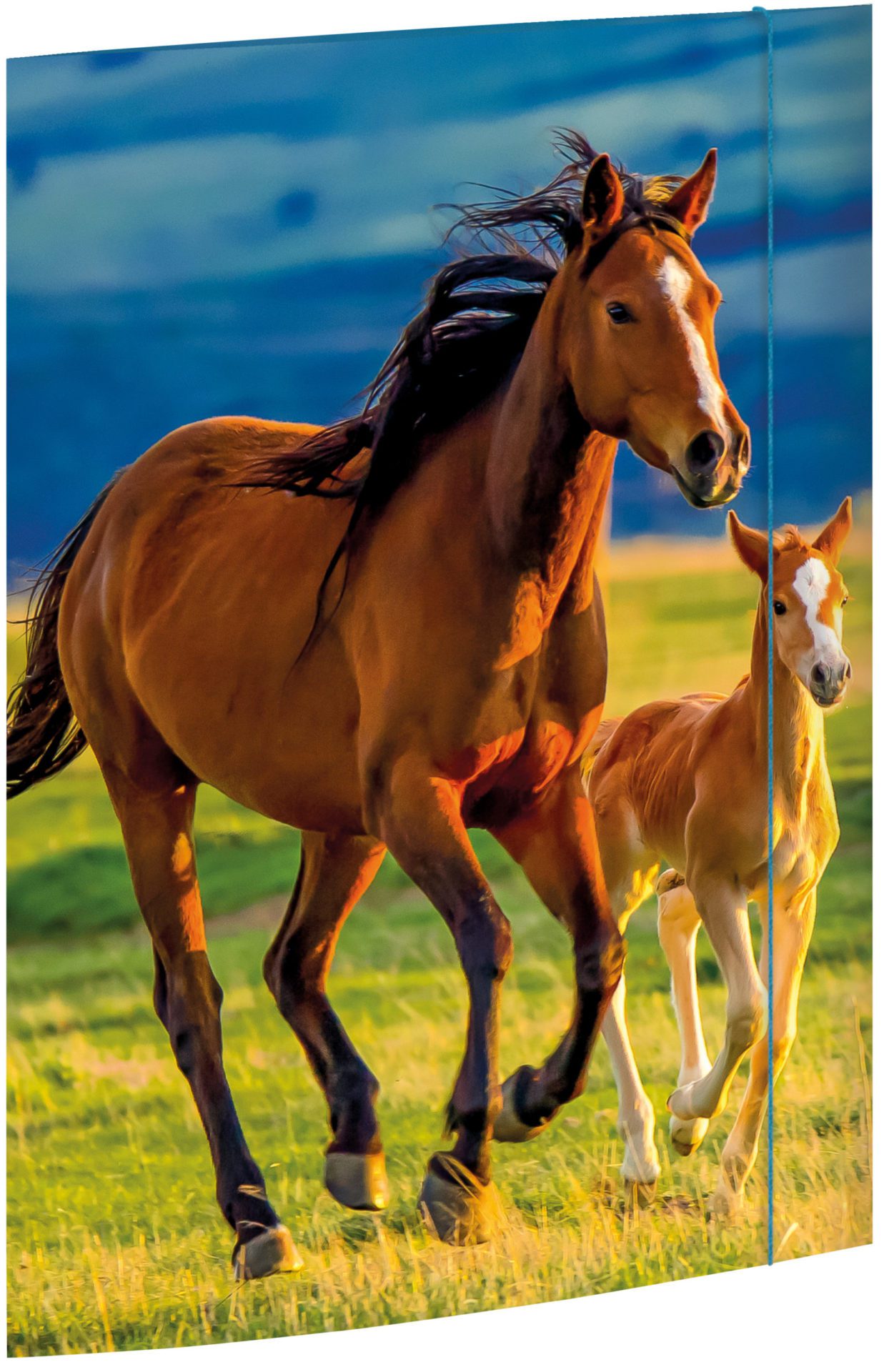 rnk-free-horses-zeichenmappe-a3-blau-gummizug image 1