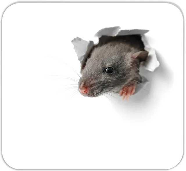 rnk-mini-schreibunterlage-mausi-mousepad-block-30-blatt image 1