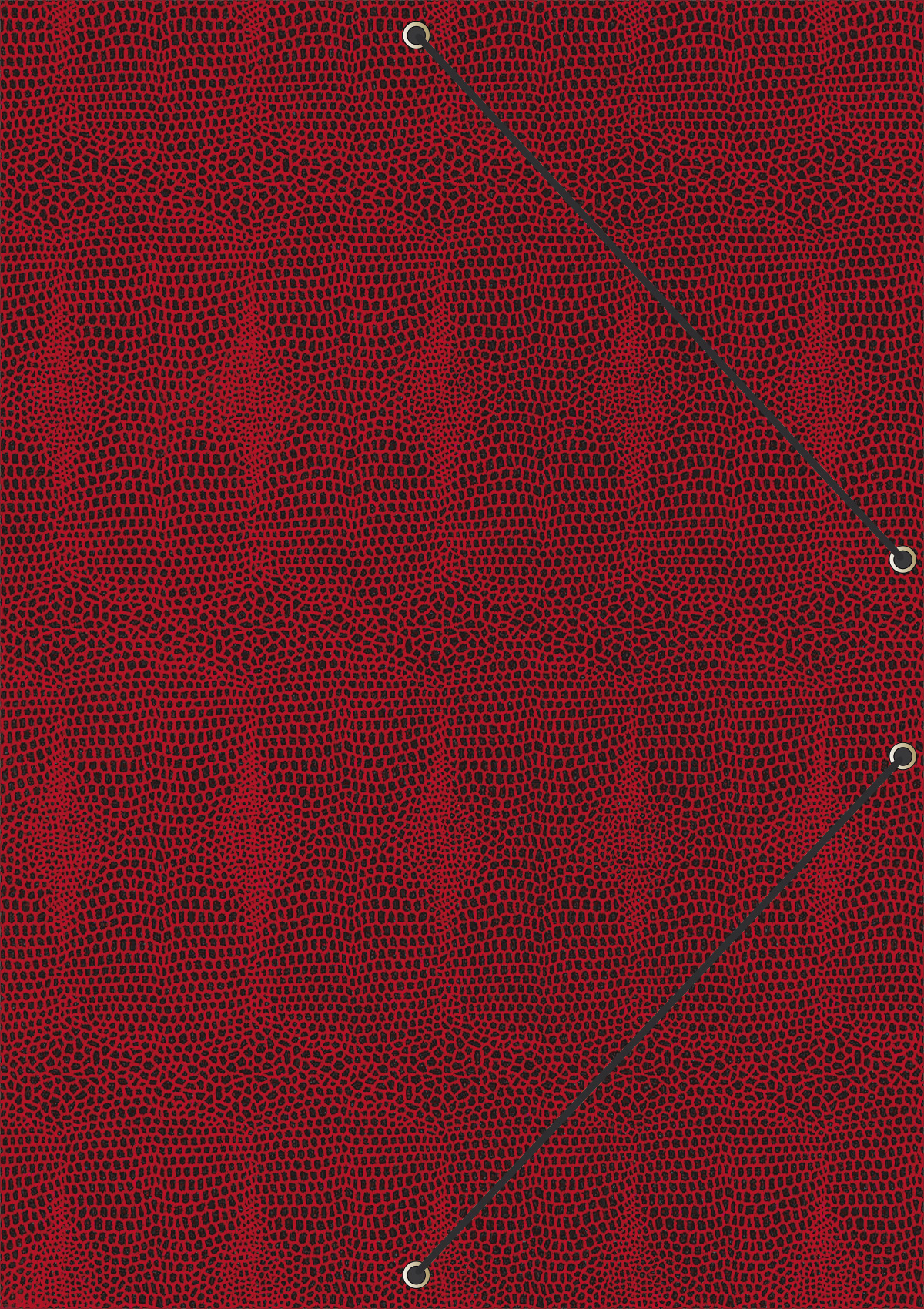 rnk-dokumentenmappe-style-sunrise-red-din-a4-sammelmappe-gummizug image 1