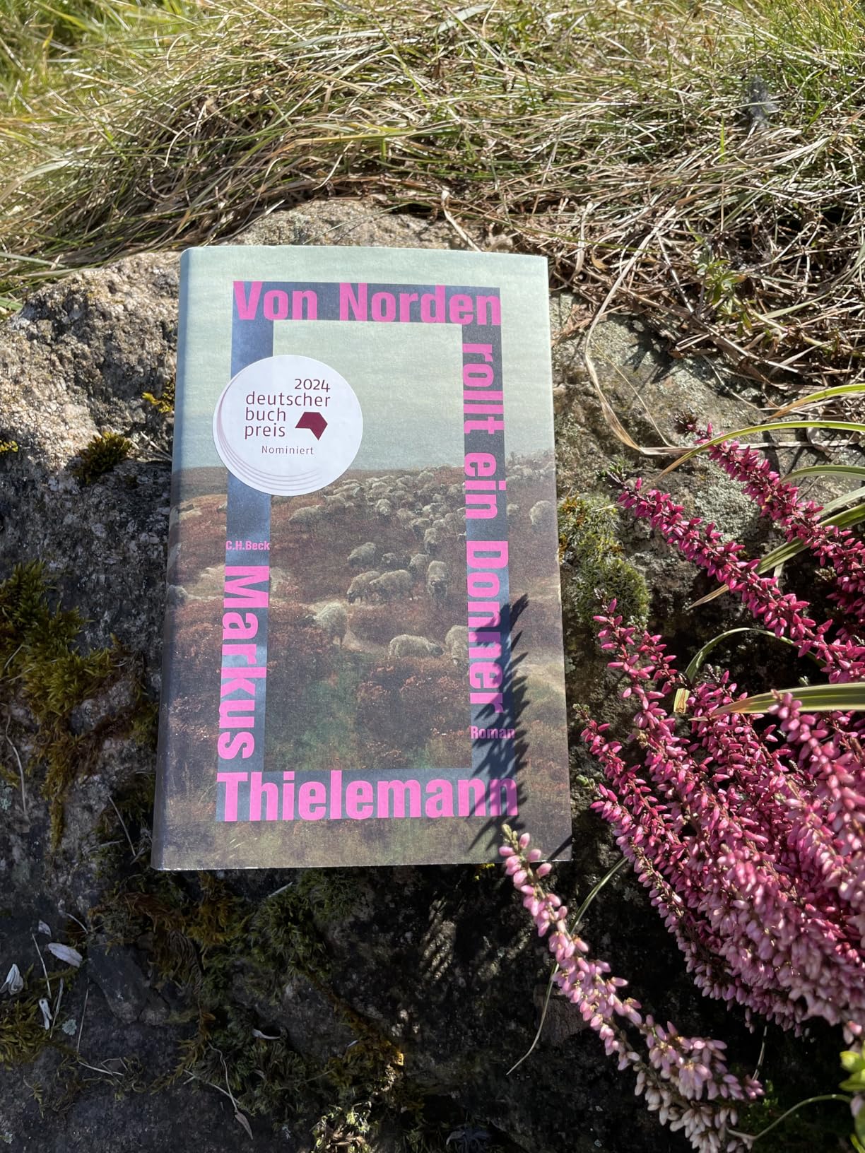 Tolles Taschenbuch