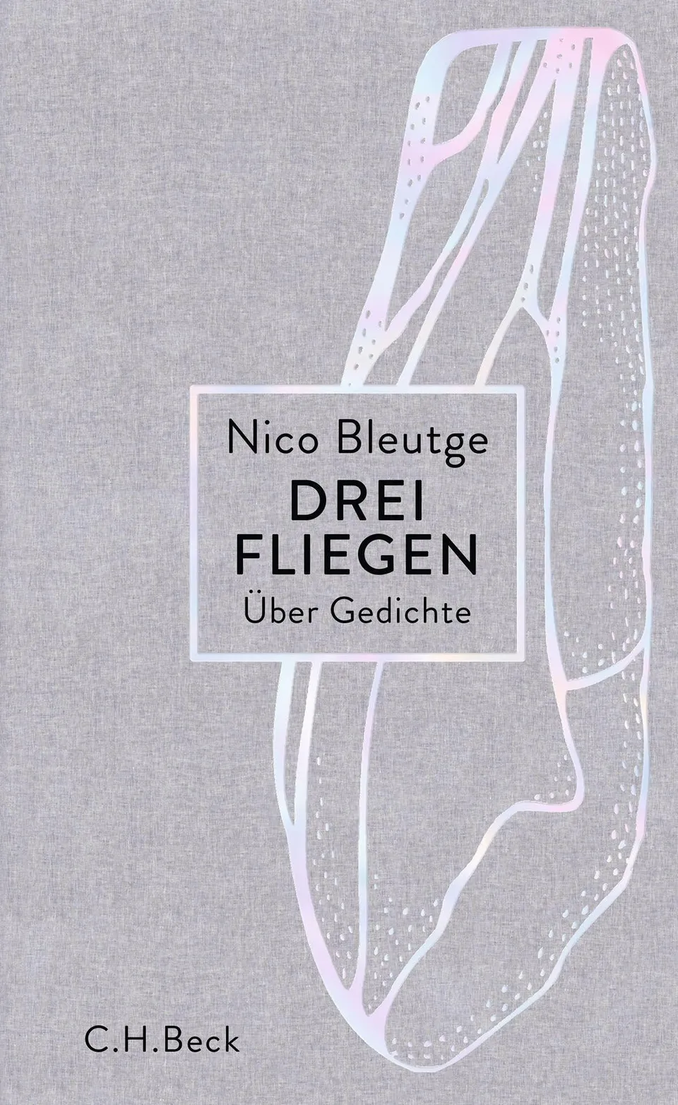 c-h-beck-paperback-drei-fliegen-buch-ber-gedichte-lyrik image 1