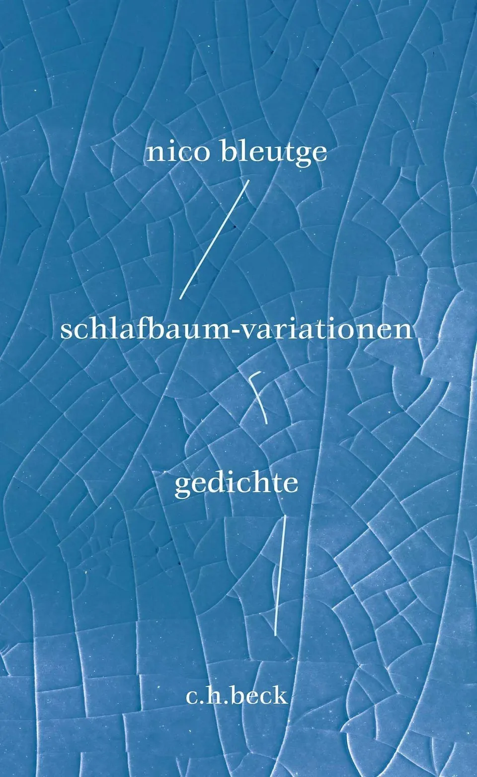 c-h-beck-paperback-schlafbaum-variationen-gedichtband-gedichte image 1
