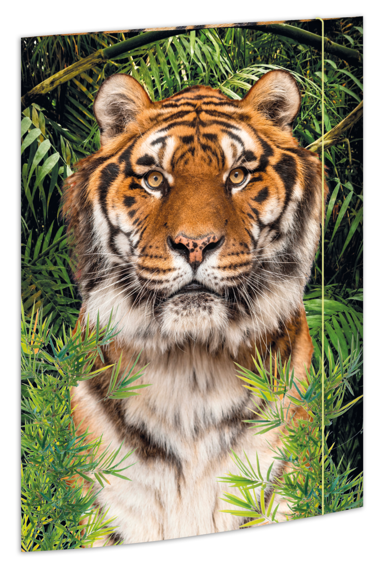 rnk-zeichenmappe-tiger-din-a3-karton-gummizug image 1