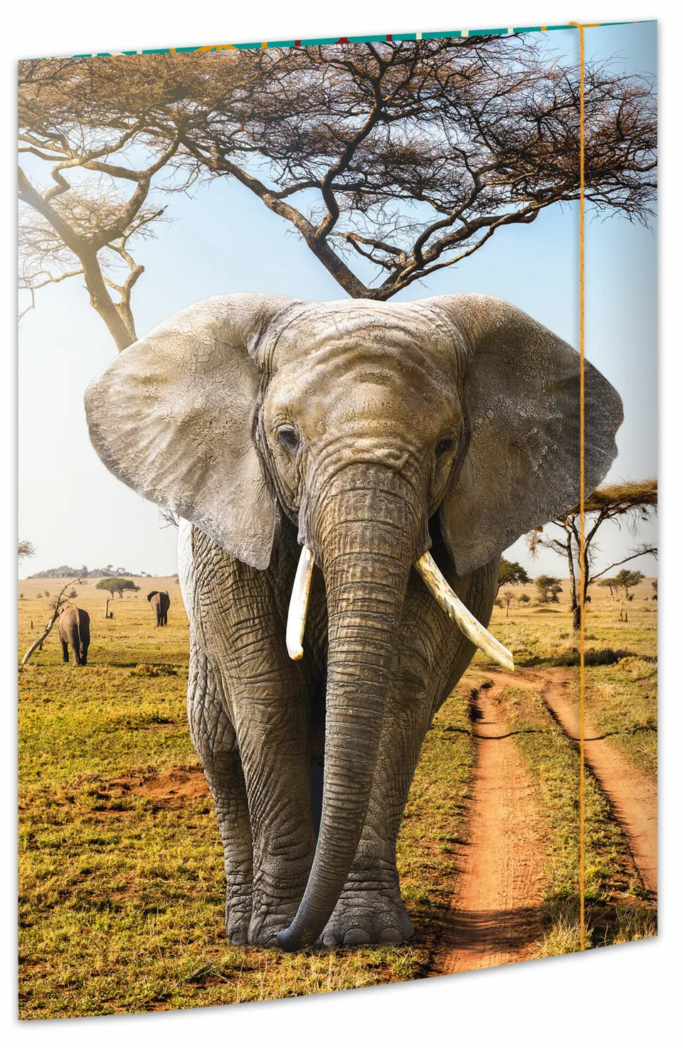 rnk-elefant-zeichenmappe-din-a3-karton-mit-gummizug image 1