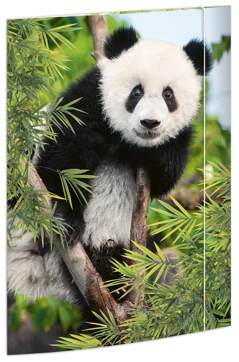 rnk-panda-zeichenmappe-din-a3-gummizug-1-st-ck image 1