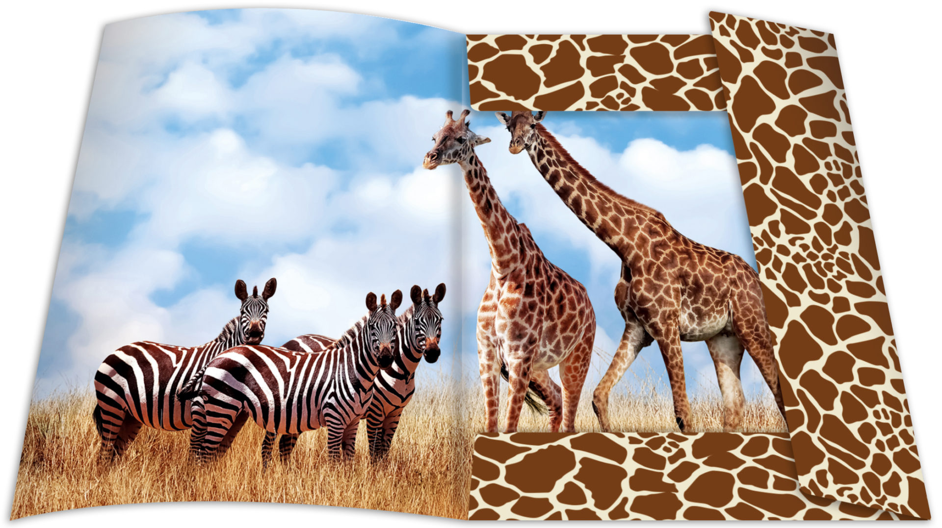 rnk-safari-zeichenmappe-din-a3-blau-gummizug-1-st-ck image 2