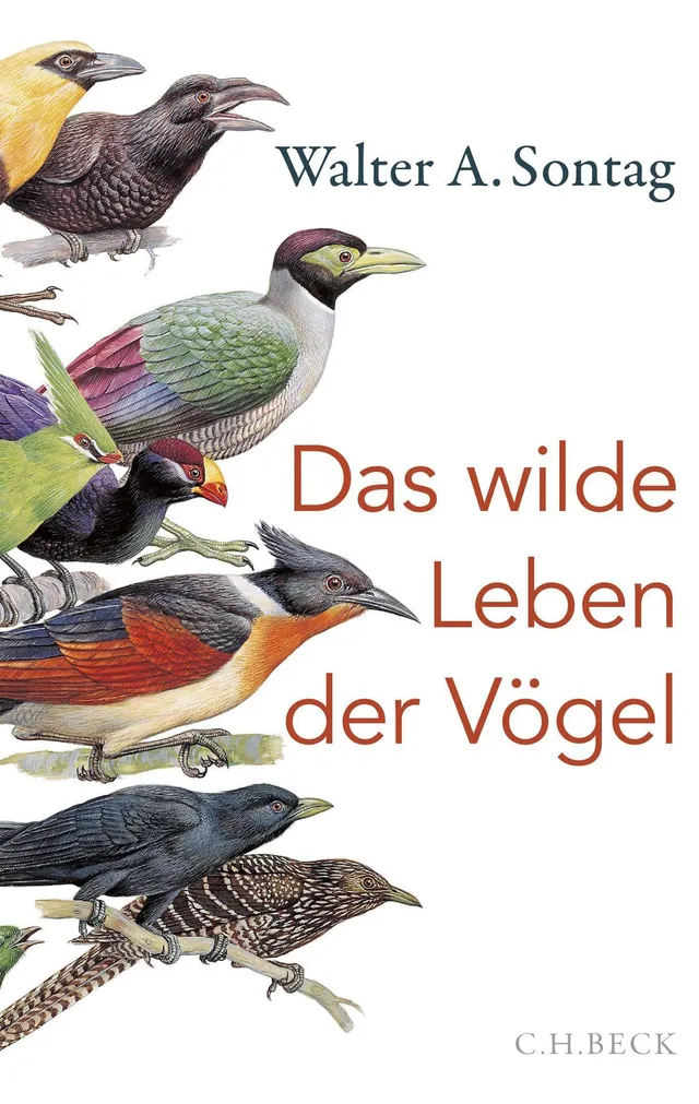 c-h-beck-paperback-das-wilde-leben-der-v-gel-buch-natur image 1