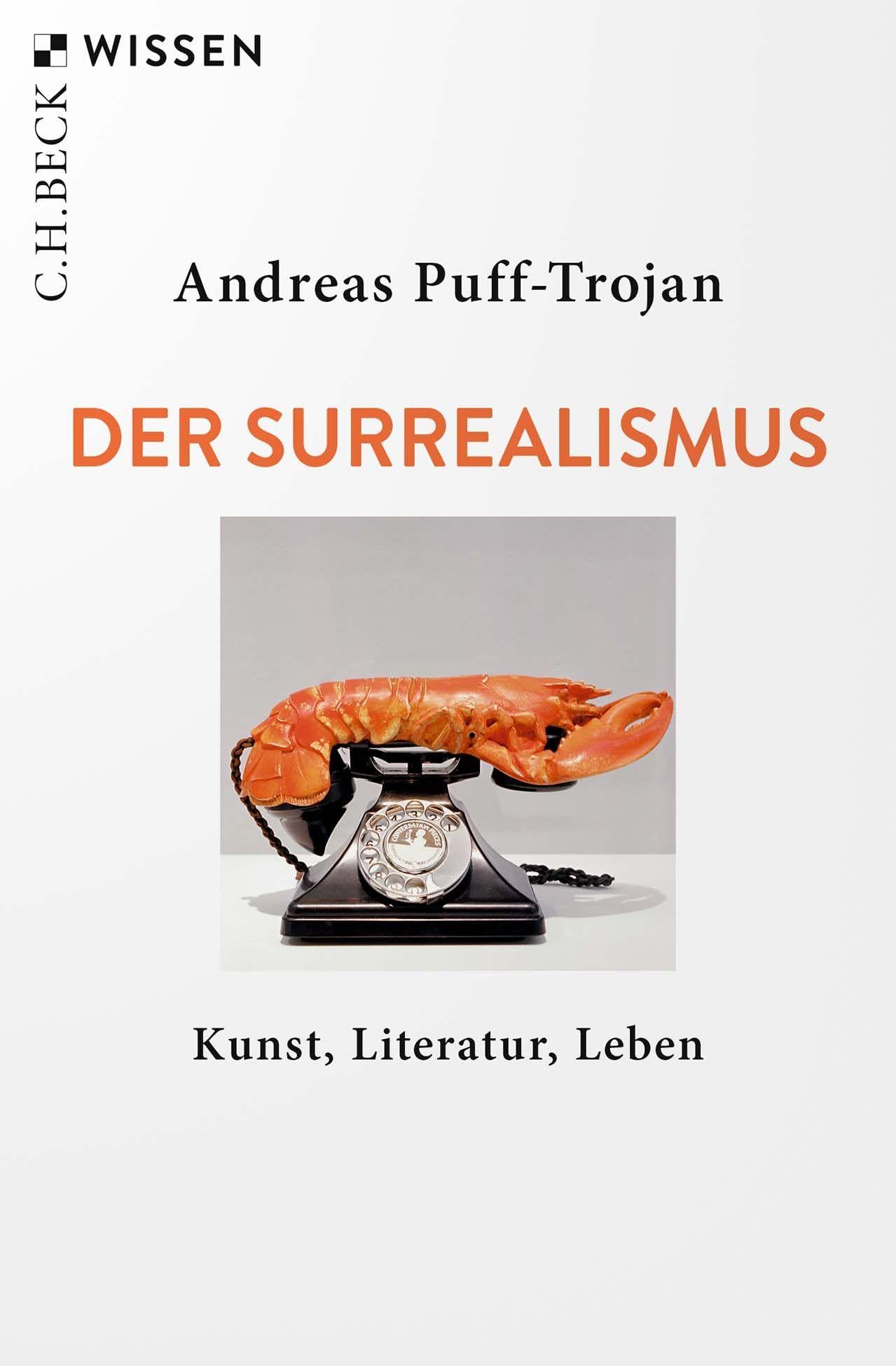 c-h-beck-wissen-der-surrealismus-buch-kunst-literatur-leben image 1