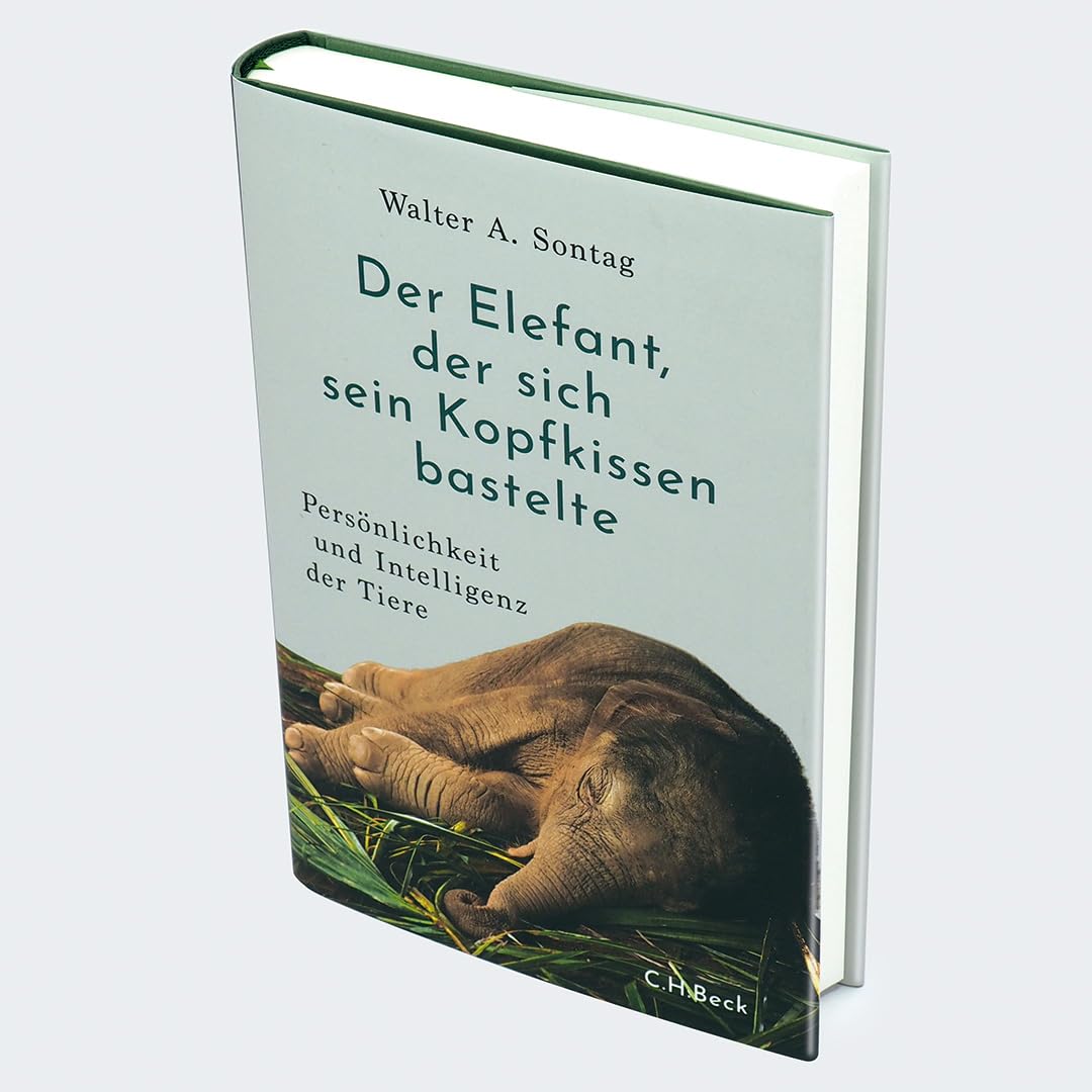 c-h-beck-paperback-elefant-kopfkissen-buch-tiere-intelligenz image 2