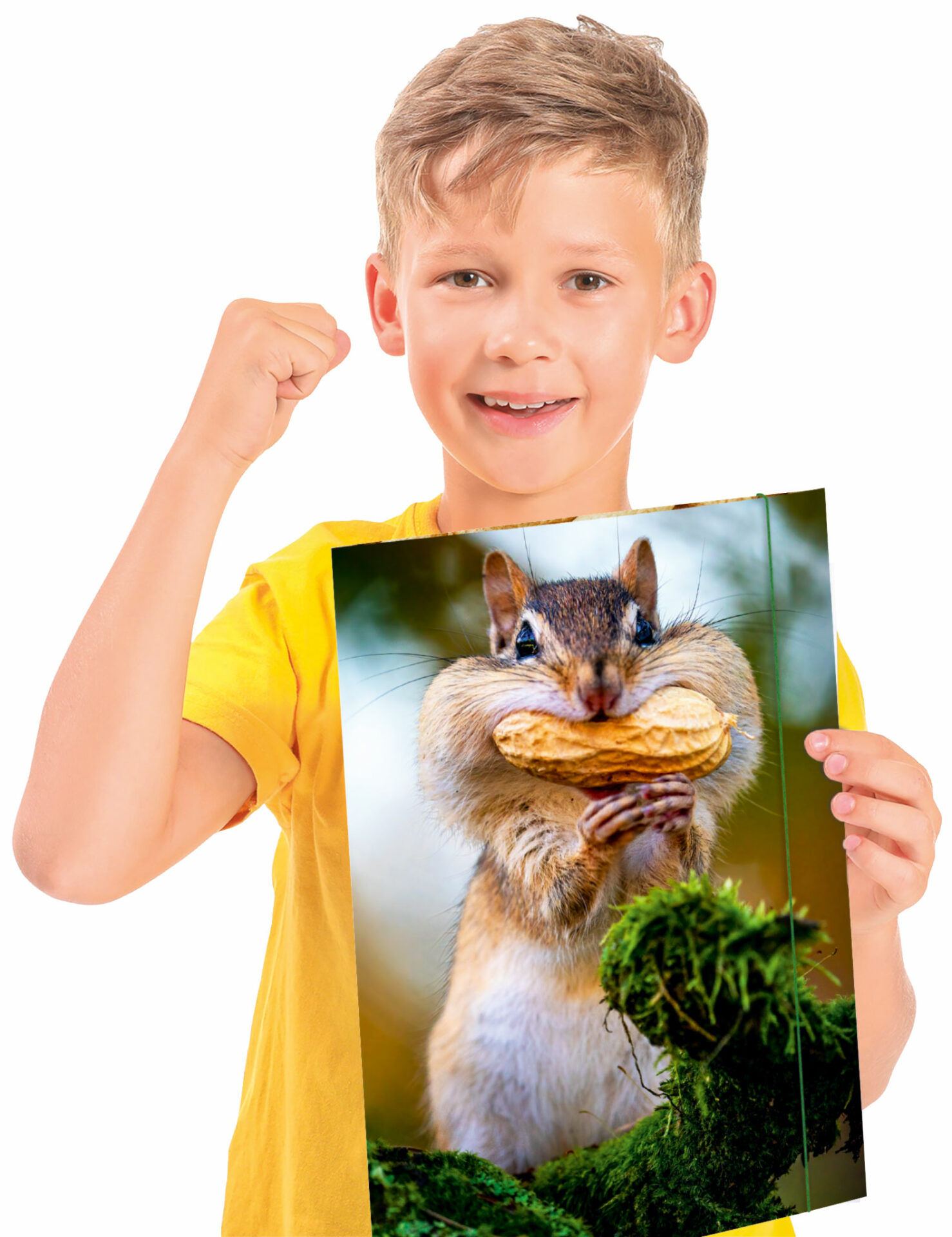 rnk-chipmunk-zeichenmappe-din-a3-gummizug-1-st-ck image 3