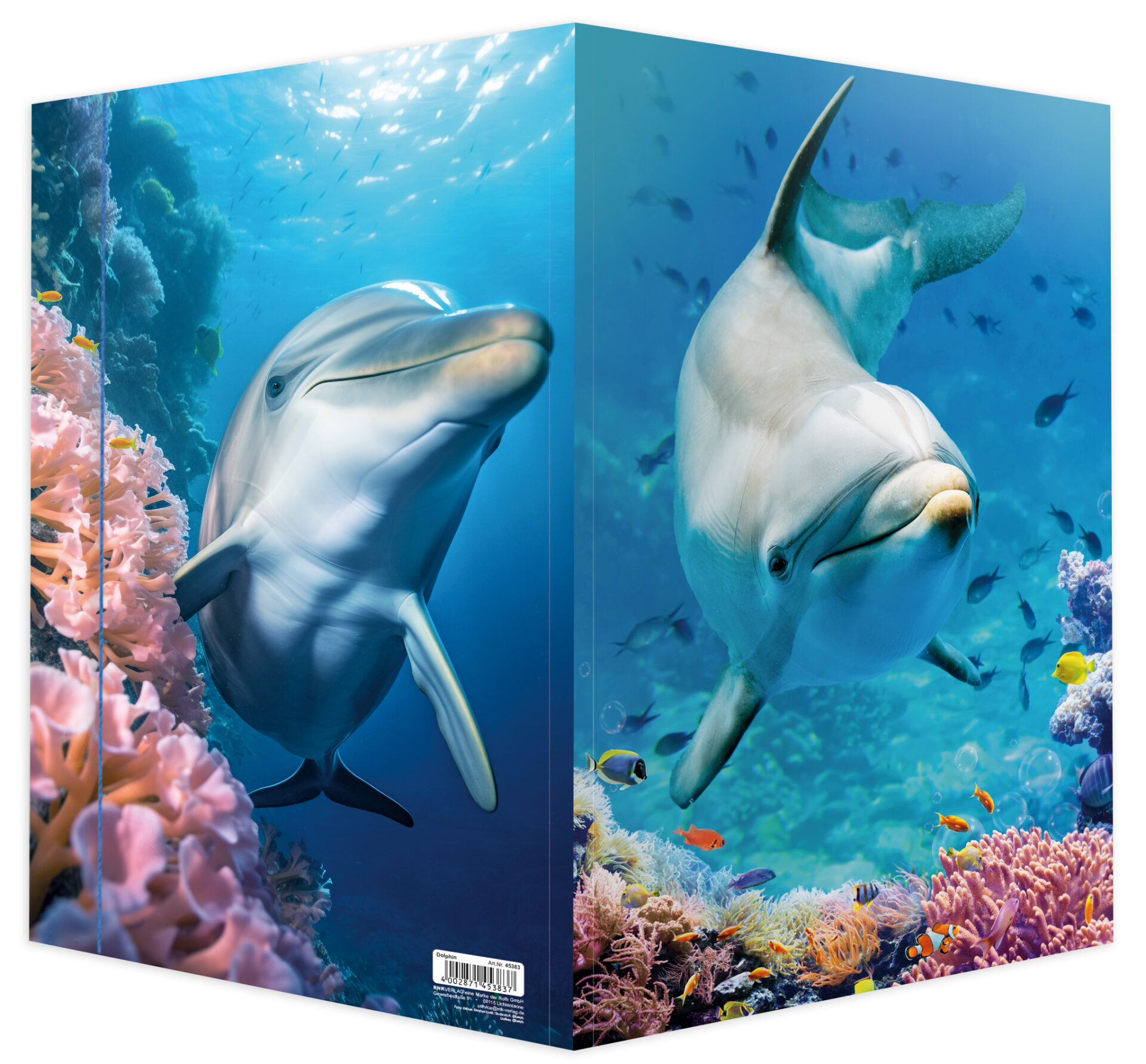 rnk-dolphin-zeichenmappe-a3-karton-mit-gummizug image 3