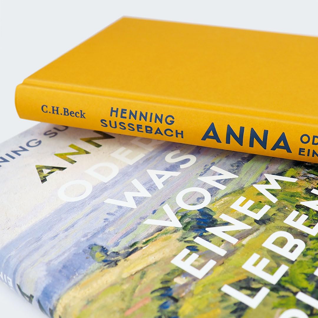 c-h-beck-anna-oder-taschenbuch-was-von-einem-leben-bleibt image 3