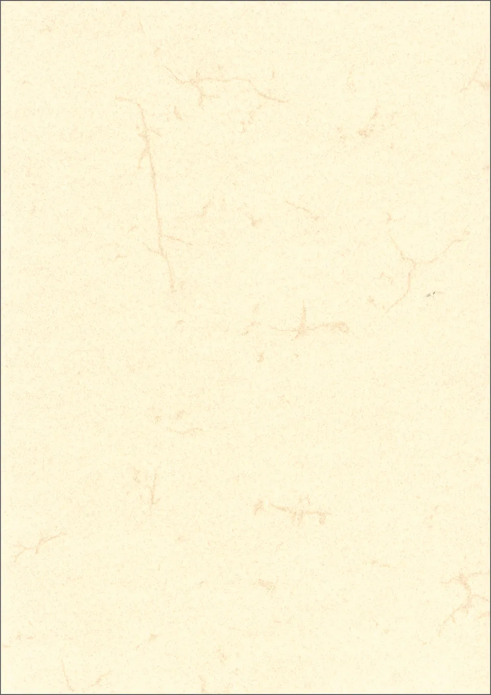 rnk-dokumentenpapier-a4-elefantenhaut-wei-10-st-ck-190g image 1