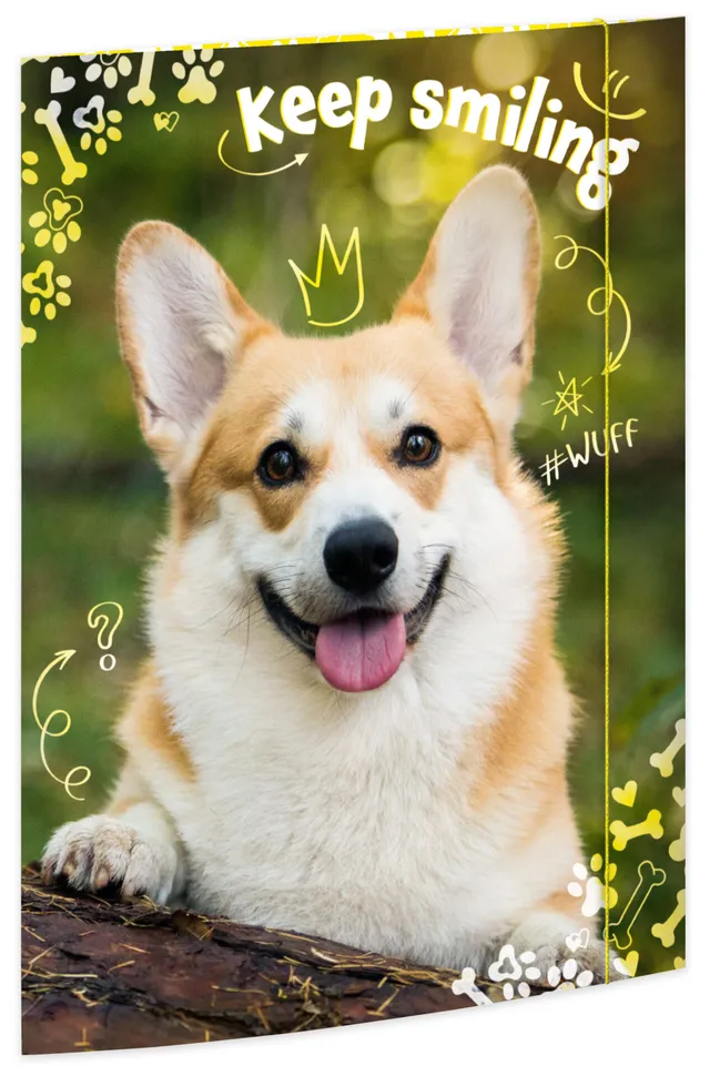 rnk-corgi-zeichenmappe-din-a3-mit-gummizug-stabiler-karton image 1