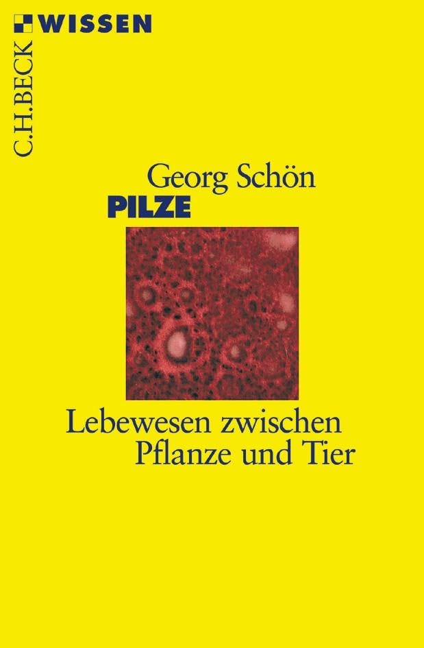 c-h-beck-wissen-pilze-buch-lebewesen-pflanze-tier image 1