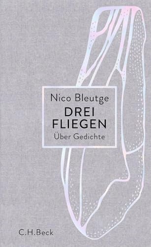 c-h-beck-paperback-drei-fliegen-buch-ber-gedichte-lyrik image 2