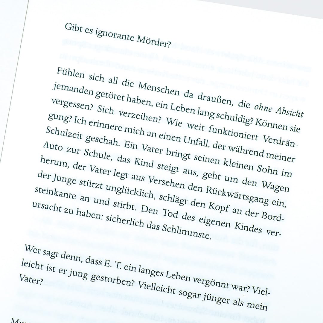 c-h-beck-seinetwegen-roman-taschenbuch-gegenwartsliteratur image 6
