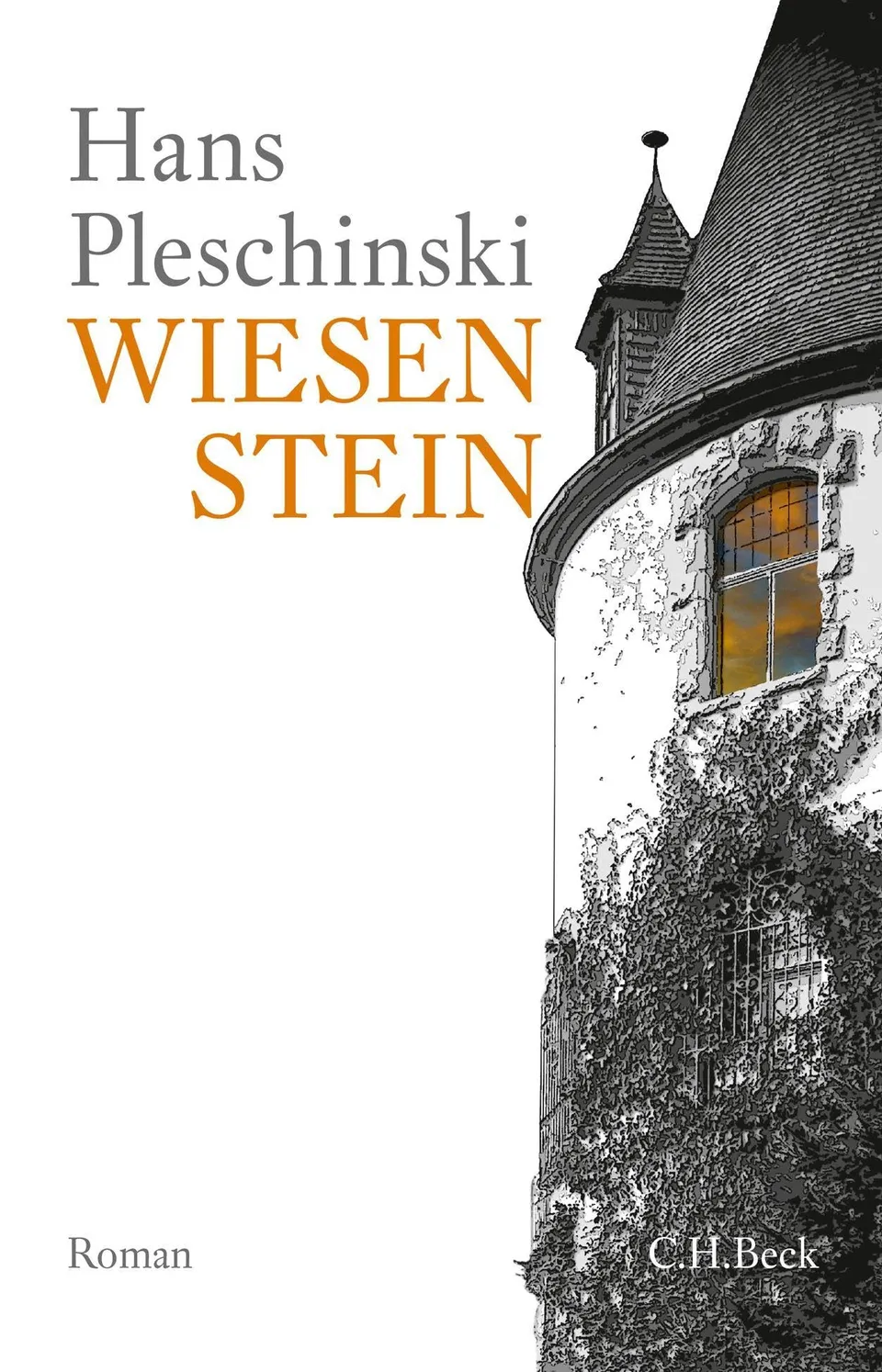 c-h-beck-paperback-wiesenstein-roman-taschenbuch-gegenwart image 1
