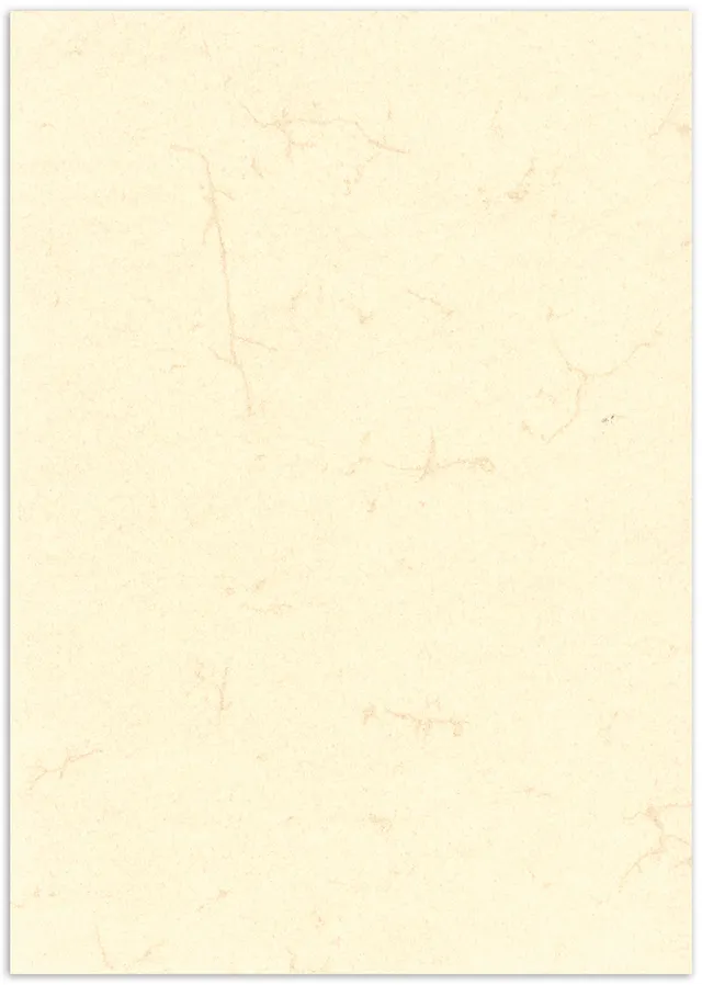rnk-dokumentenpapier-din-a4-wei-elefantenhaut-100-st-ck image 1
