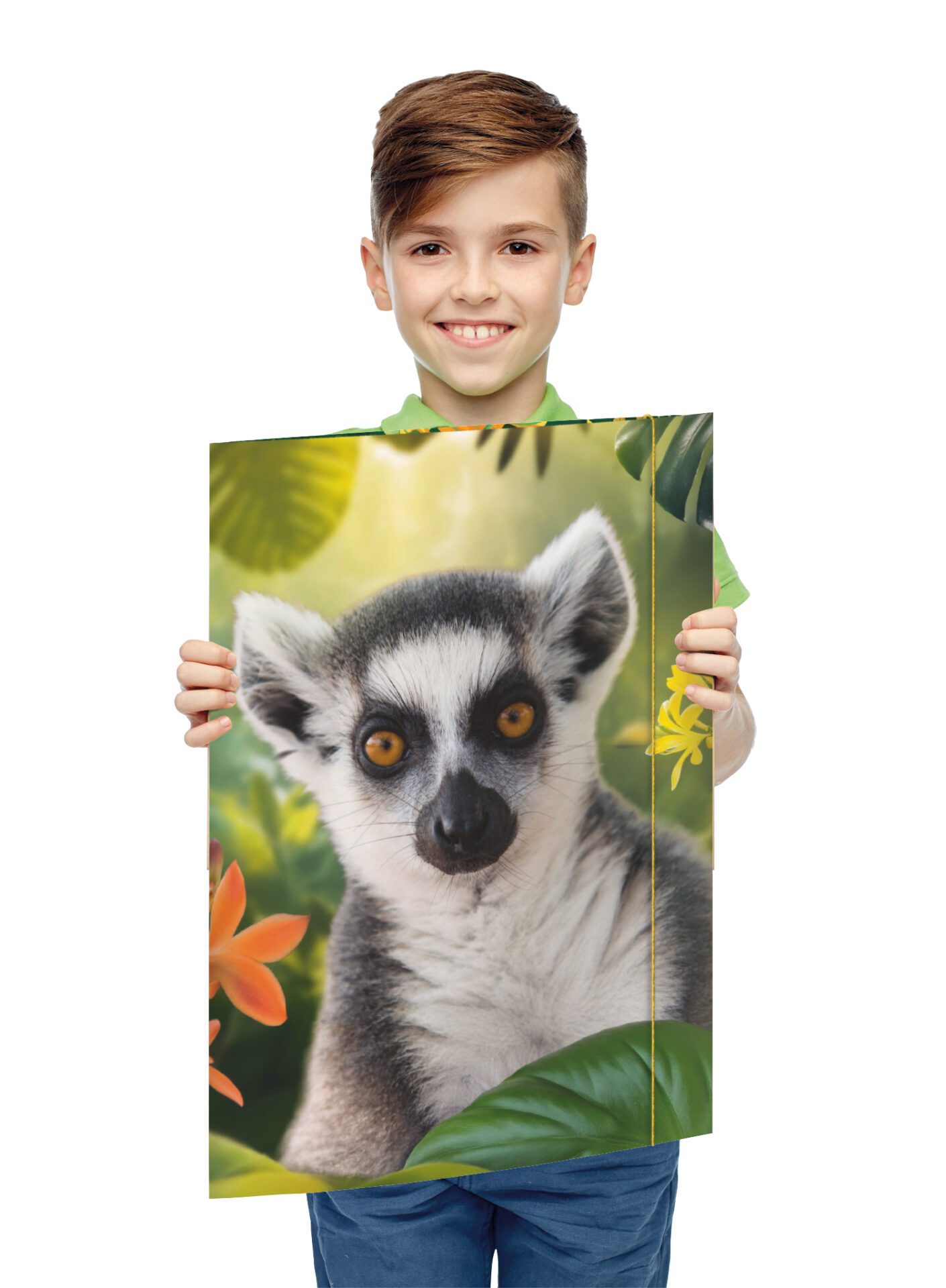 rnk-lemur-zeichenmappe-din-a3-karton-mit-gummizug image 4