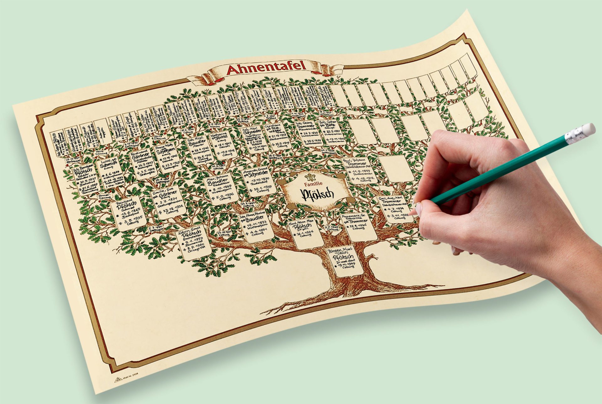 rnk-skizzierter-baum-schmuck-ahnentafel-70x50-cm-6-generationen image 3