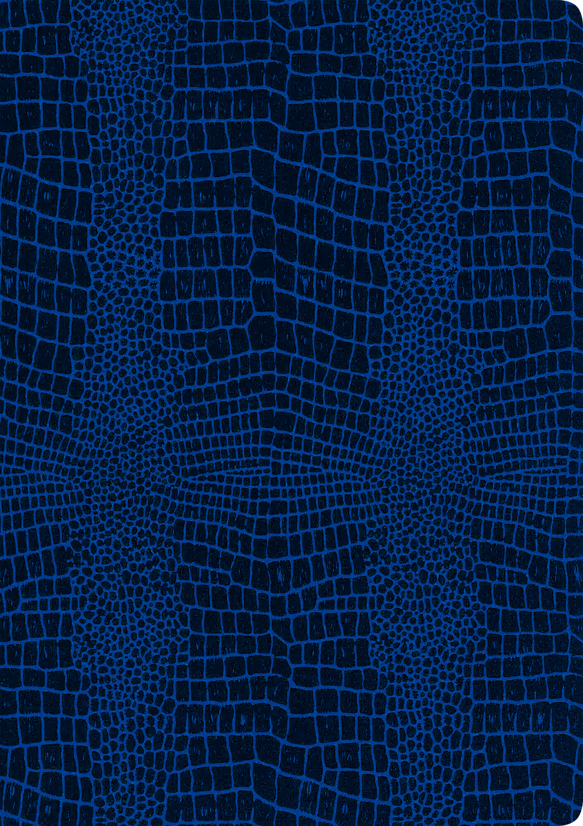 rnk-grace-sea-blue-urkundenmappe-din-a4-blau image 1