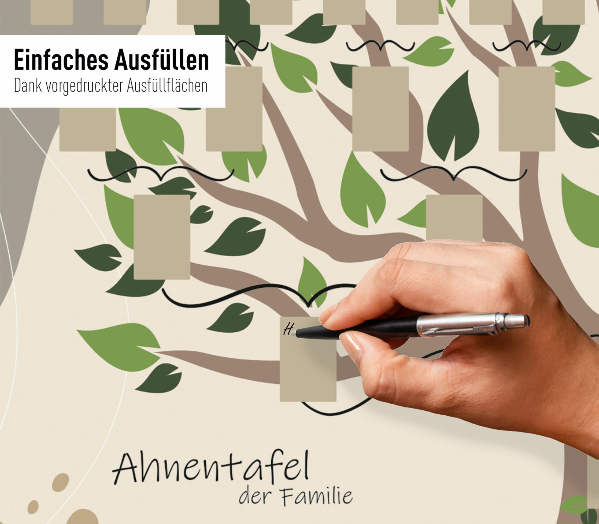 rnk-illustrierter-baum-ahnentafel-a1-6-generationen image 3