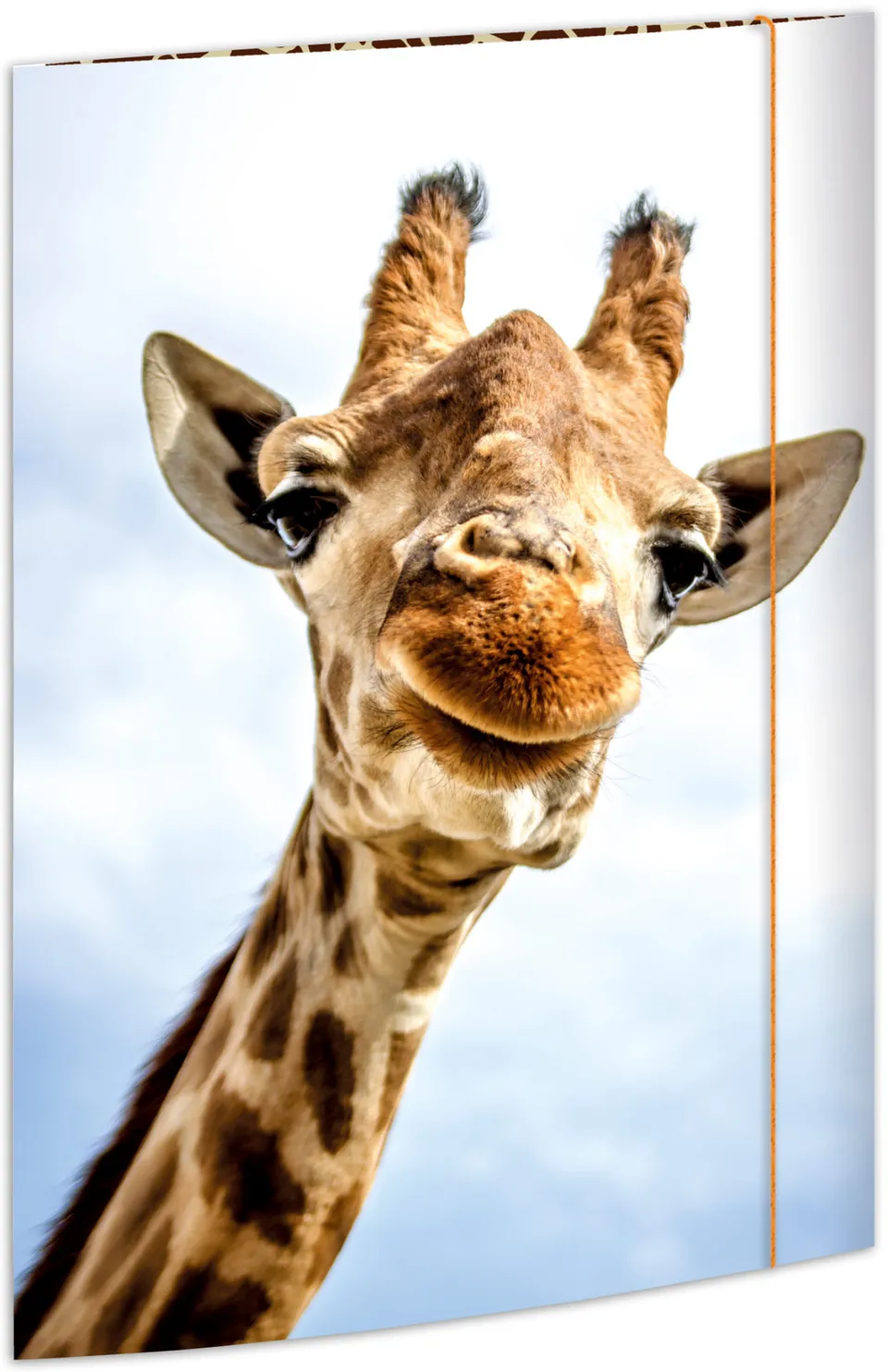 rnk-safari-zeichenmappe-din-a3-blau-gummizug-1-st-ck image 1