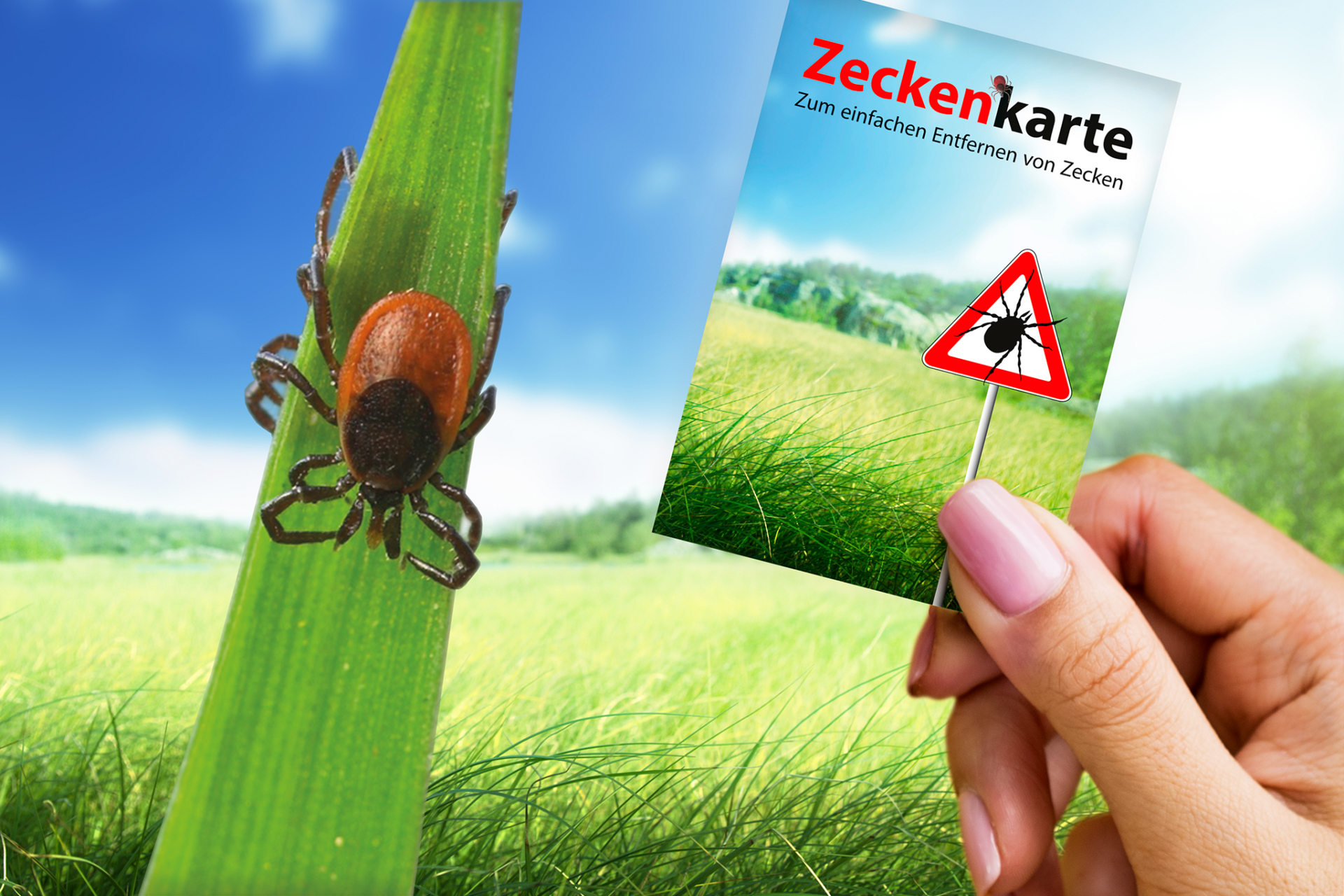 rnk-vorsorge-zeckenkarte-safecard-scheckformat image 3