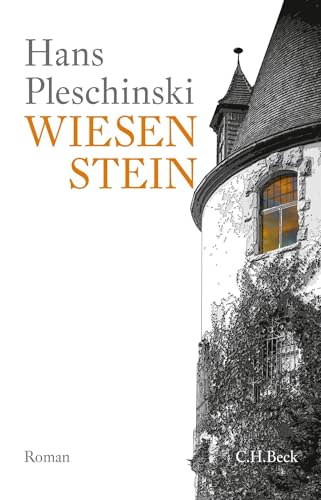 c-h-beck-paperback-wiesenstein-roman-taschenbuch-gegenwart image 2