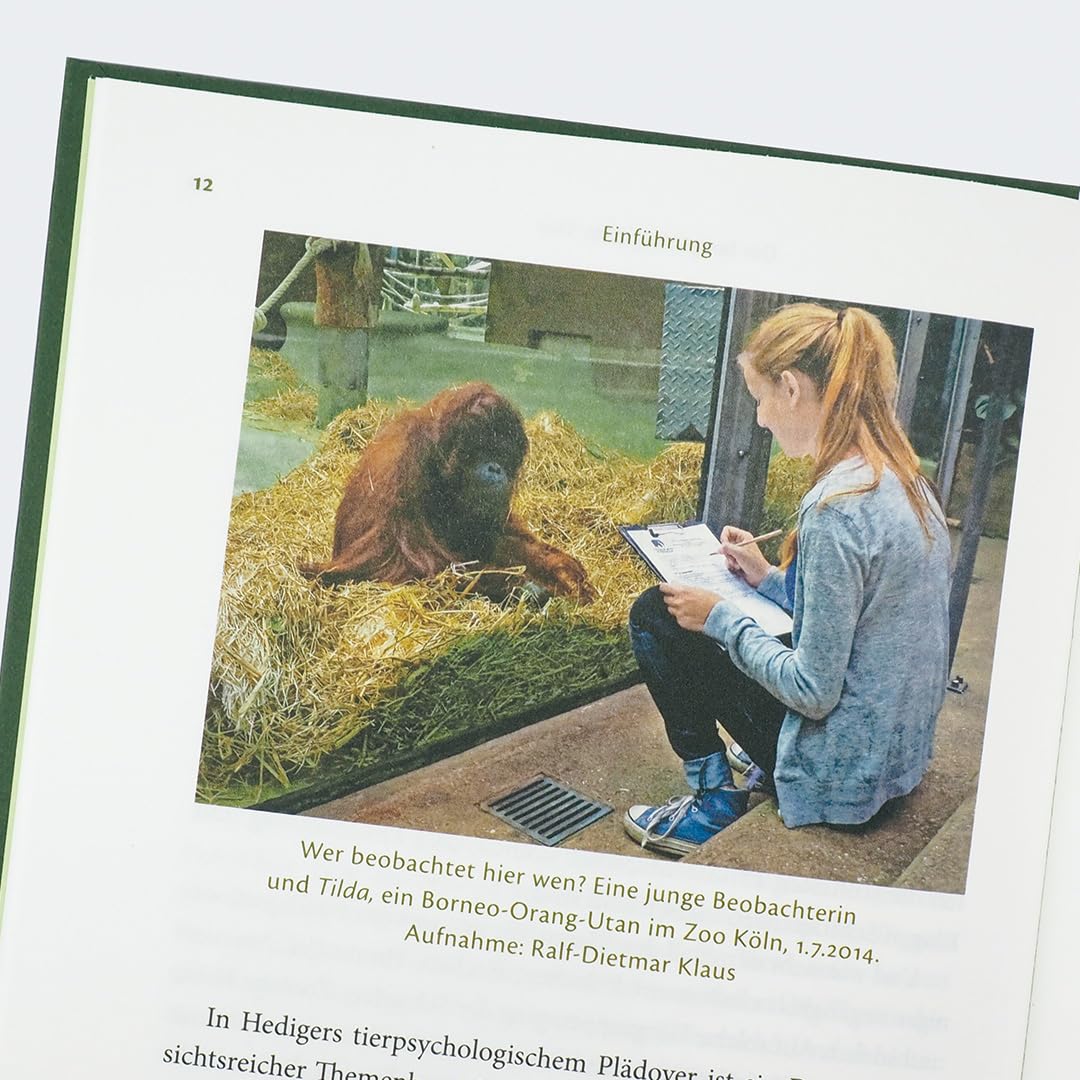 c-h-beck-paperback-elefant-kopfkissen-buch-tiere-intelligenz image 4