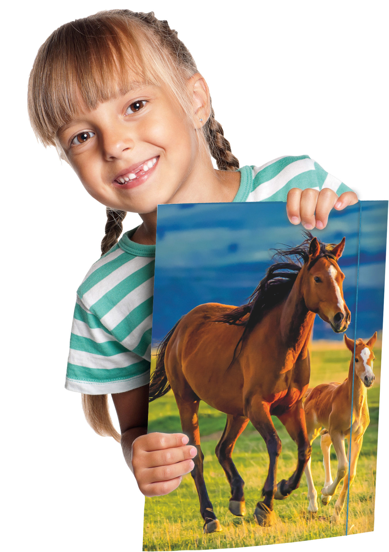 rnk-free-horses-zeichenmappe-a3-blau-gummizug image 3