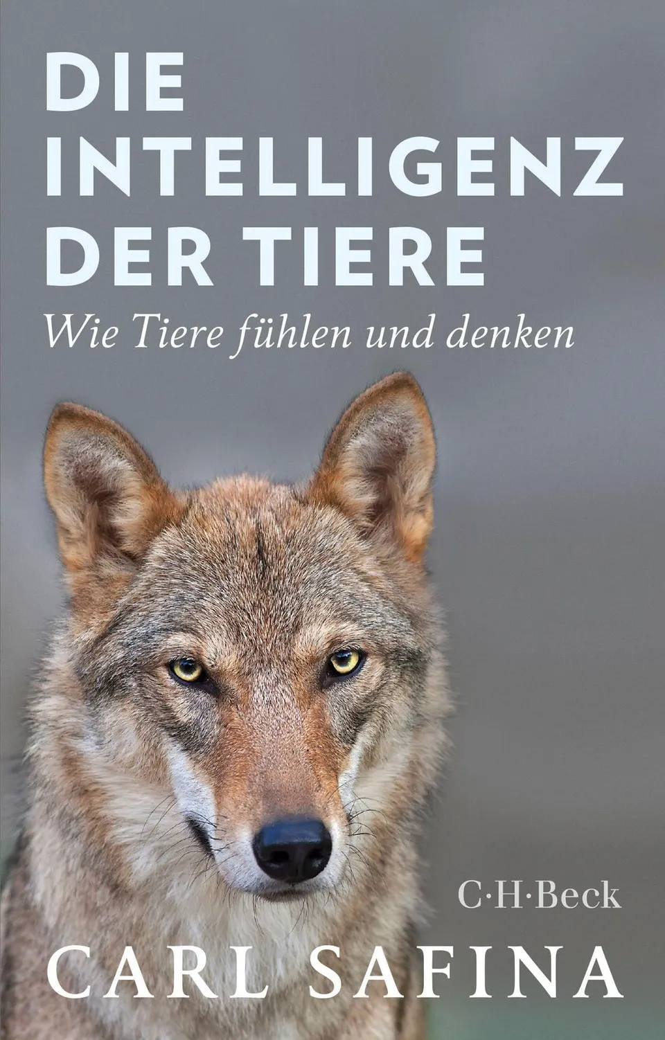 c-h-beck-die-intelligenz-der-tiere-taschenbuch-tierverhalten image 1