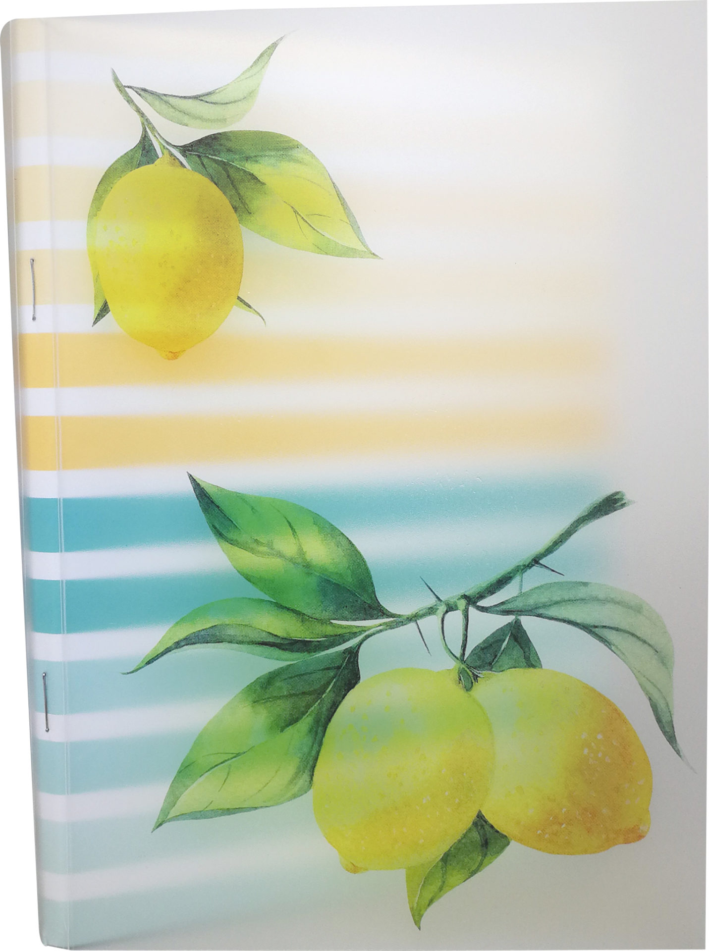 rnk-lemon-notizheft-din-a5-kariert-mit-pp-umschlag image 2