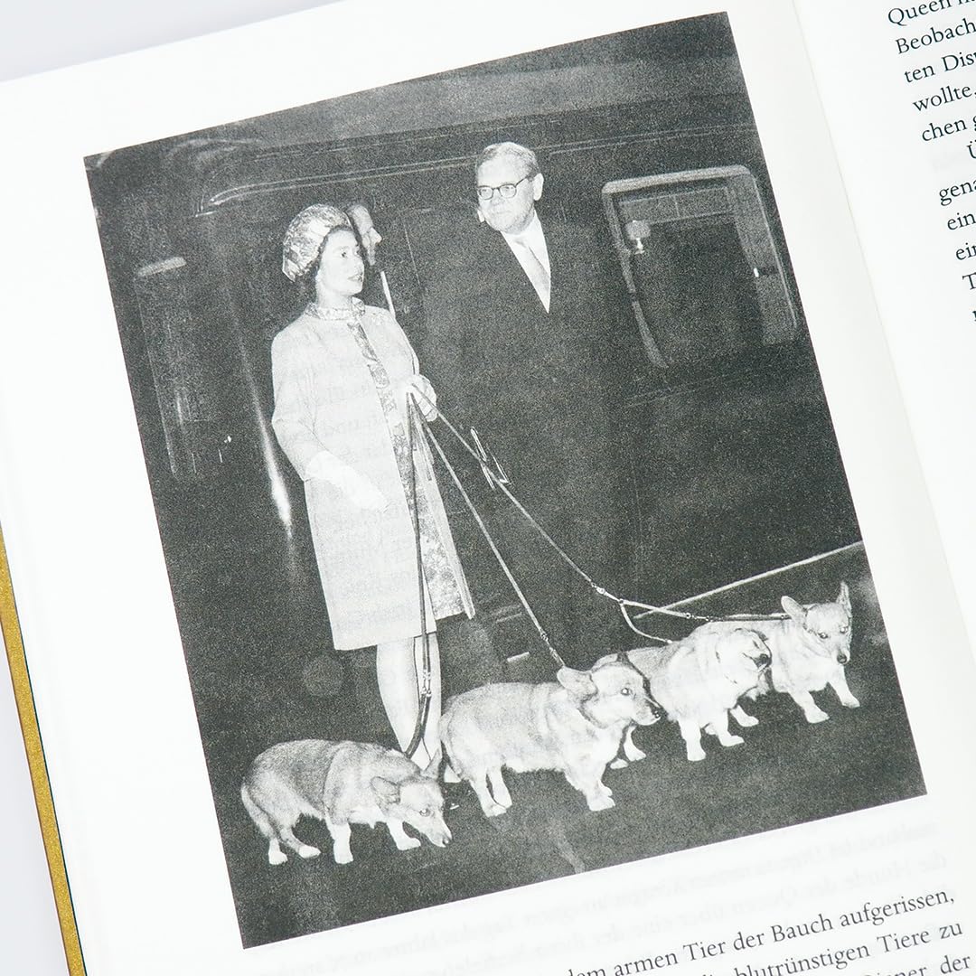 c-h-beck-paperback-q-queen-biografie-buch-taschenbuch image 6
