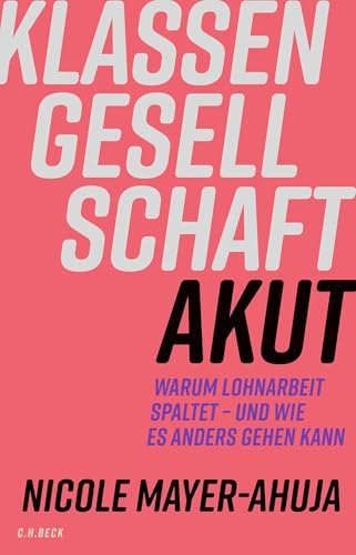 beck-paperback-klassengesellschaft-akut-buch-lohnarbeit-gesellschaft image 2